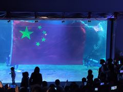 -石家庄海洋公园