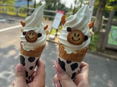 -神户市立六甲山牧场