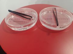 -交通银行前滩31演艺中心