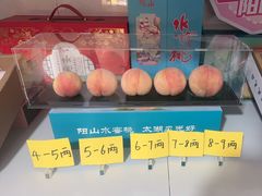 -老袁家蜜桃农场·阳山水蜜桃