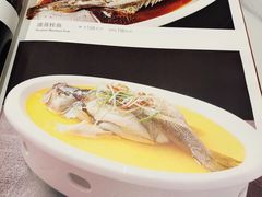 菜单-7号院家宴.烧鸽子(门头沟店)