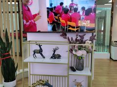 -爱月宝月嫂·育儿嫂(哈尔滨总店)