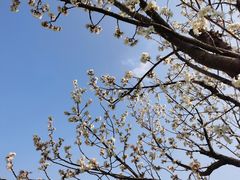 -国际非物质文化遗产博览园