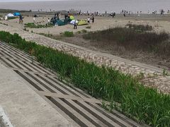 -南汇嘴观海公园