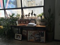 点击看大图 -皇室米澜摄影工作室(宝安店)