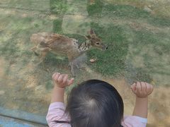 -泉州海丝野生动物世界