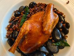 -京香轩·中餐厅(上海中庚聚龙酒店)