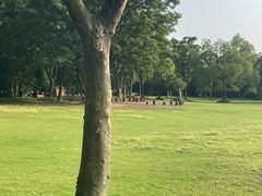 -吴淞炮台湾湿地森林公园烧烤区