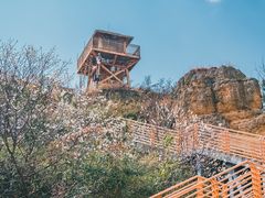 -彩色沙林风景区