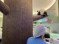 -眉州东坡·熊猫主题餐厅(枫蓝店)