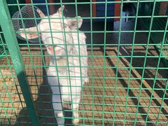 -同里湖度假村(二期店)