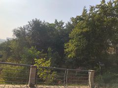 -聚龙山公园