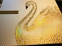 -BLACKSWAN黑天鹅(环球店)