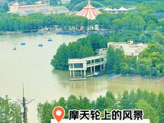 -上海野生动物园