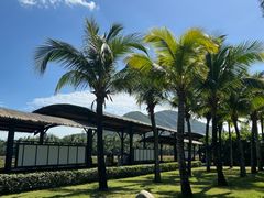 -亚龙湾国际玫瑰谷