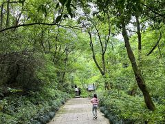 -杭州半山国家森林公园