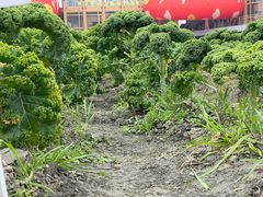 -中国天府农业博览园