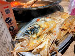 -销魂美蛙鱼头火锅(上海首店)