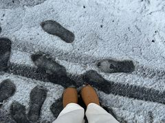 -雪湖煜辰鱼头老店(雪野湖店)