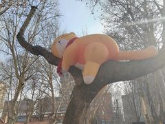 -西安电影制片厂