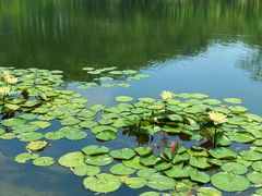 -同济大学(嘉定校区)