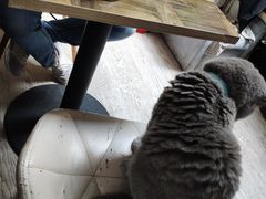 -小时光咖啡馆(北锣鼓巷店)