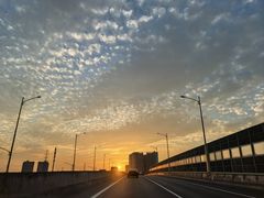 -晶莹品鲜.顺德鱼生.特色桑拿菜