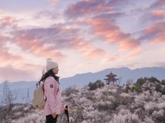 -白水寺森林公园