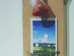-猫里有甜