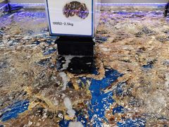 -盒马X会员店(上海森兰商都店)
