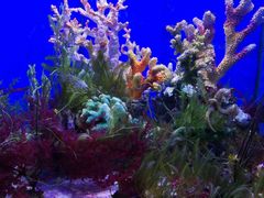 -多彩贵州城极地海洋世界