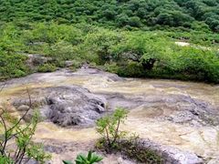 -黄龙山原始森林景区
