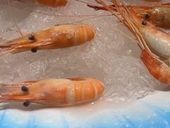 -腾阁自助餐厅(朝林广场店)