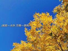 -国家植物园