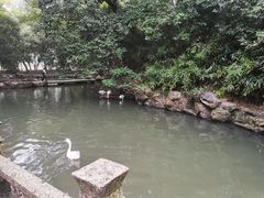 -兰亭风景区