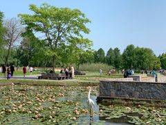 -宁波杭州湾国家湿地公园