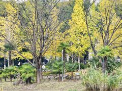 -浙江农林大学(东湖校区)