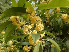 -白塘生态植物园