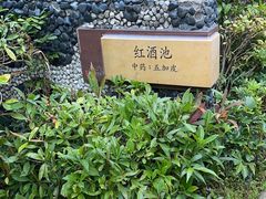 -台山颐和温泉城