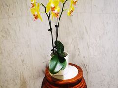 -北京贵宾楼饭店 红墙咖啡厅