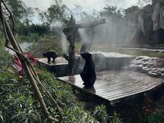 -海南热带野生动植物园