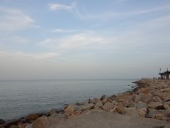 -野狸岛