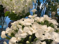 -花开餐厅(环湖中路店)
