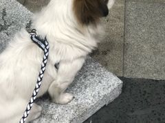 -劲烧-烧烤工坊(保利水城店)