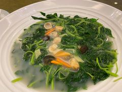 上汤苋菜-东豪园林海鲜酒家(南港路辅路店)