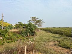 -北海金海湾红树林生态旅游区