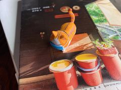 -喵屿·大理花园猫咖