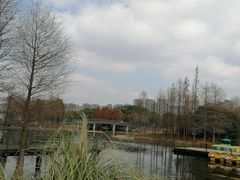 -尚贤河湿地