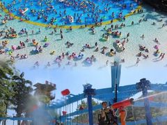 -重庆海昌加勒比海水世界