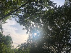 -长春公园(普阳街道)